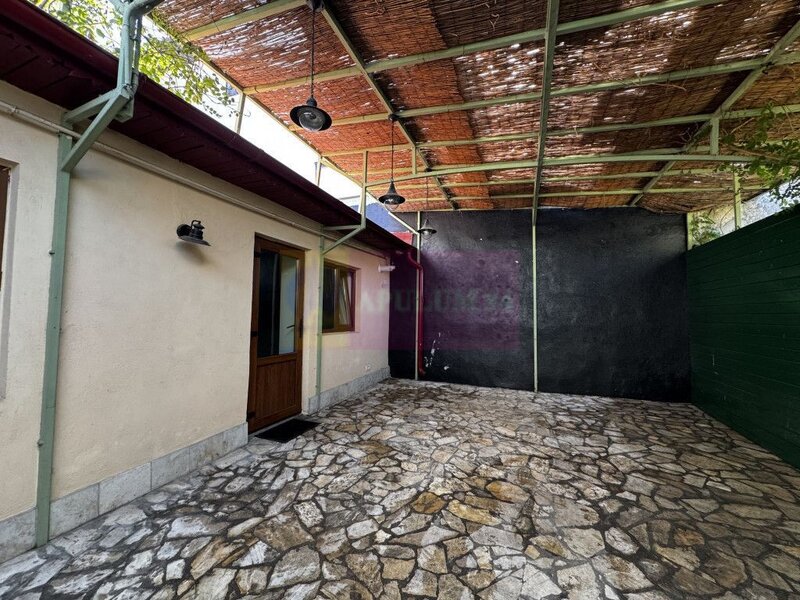 Casa Zona Dorobanti | Floreasca | Curte