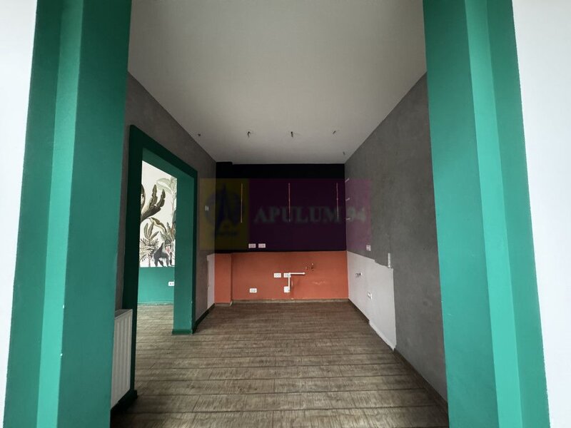 Casa Zona Dorobanti | Floreasca | Curte