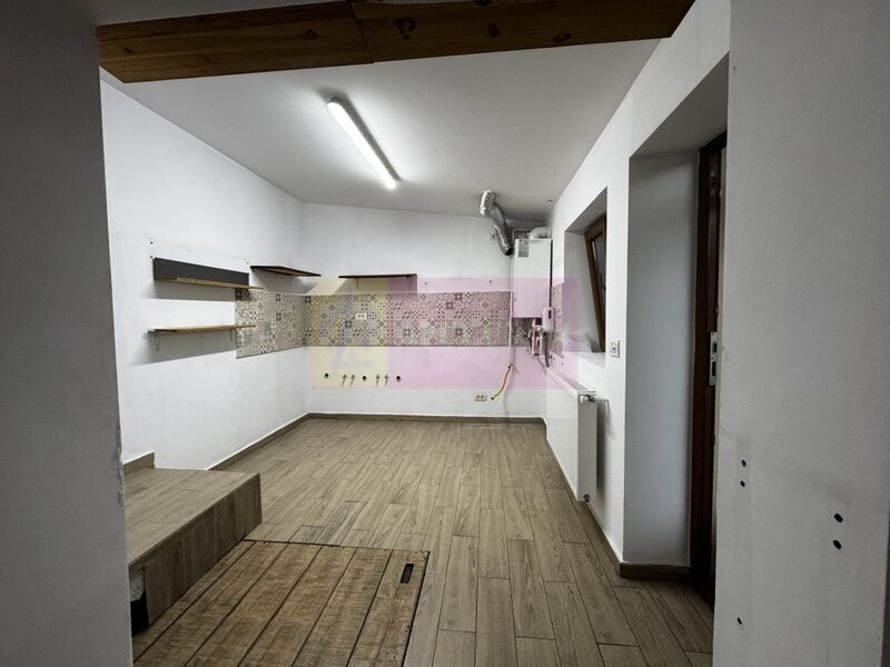 Casa Zona Dorobanti | Floreasca | Curte