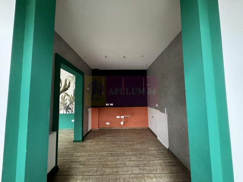 Casa Zona Dorobanti | Floreasca | Curte